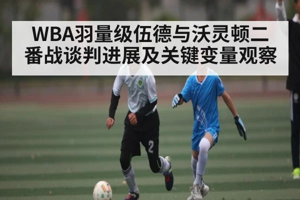WBA羽量级伍德与沃灵顿二番战谈判进展及关键变量观察